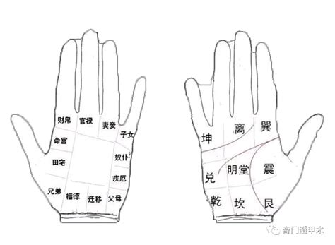 中指代表自己|手相大全——手指